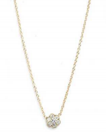 Feathered Soul | #Stargazer